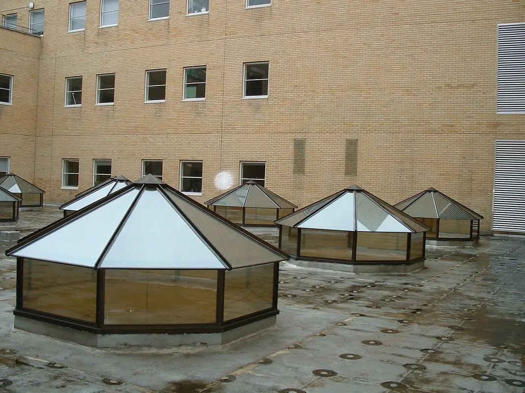 Flat Roof Skylights Raynes Park